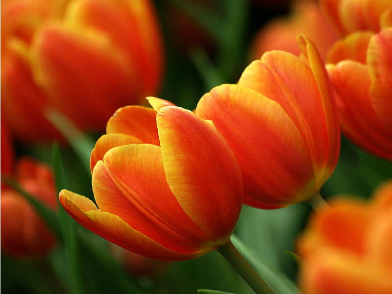 g0001.JPG - OLYMPUS DIGITAL CAMERA