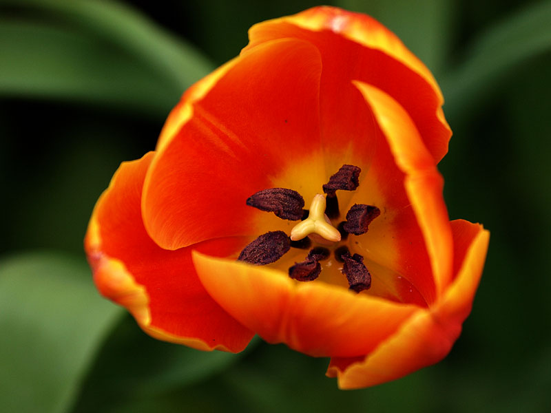 g0002.JPG - OLYMPUS DIGITAL CAMERA