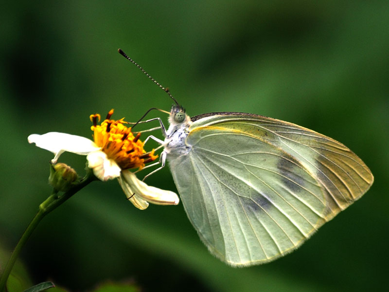 g0007.JPG - OLYMPUS DIGITAL CAMERA