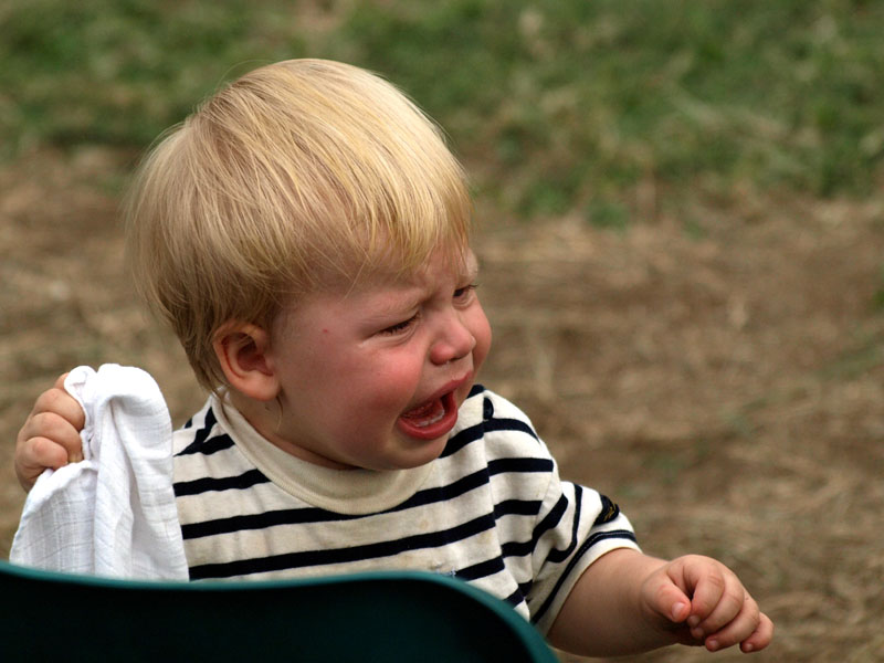 g0016.JPG - OLYMPUS DIGITAL CAMERA