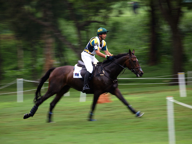 g0029.jpg - OLYMPUS DIGITAL CAMERA