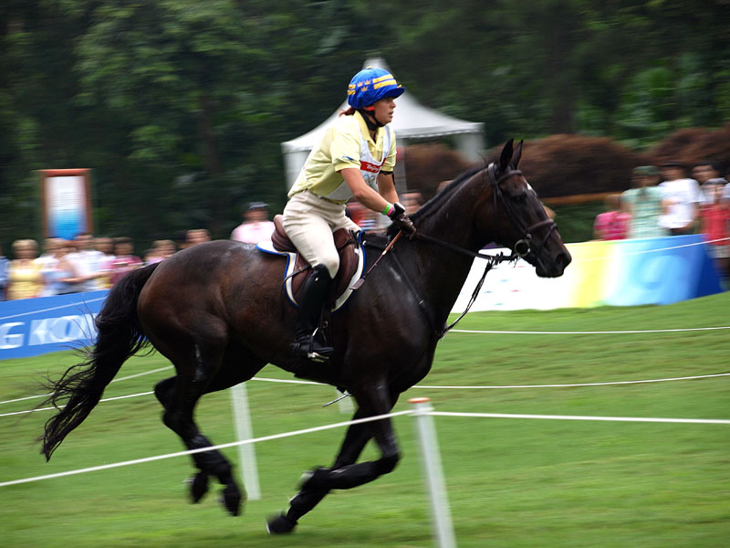 g0031.jpg - OLYMPUS DIGITAL CAMERA