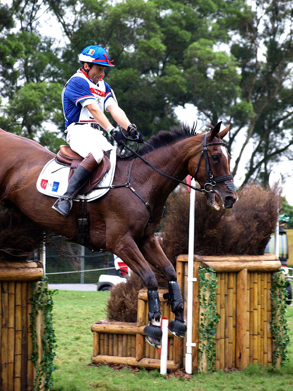 g0039.jpg - OLYMPUS DIGITAL CAMERA