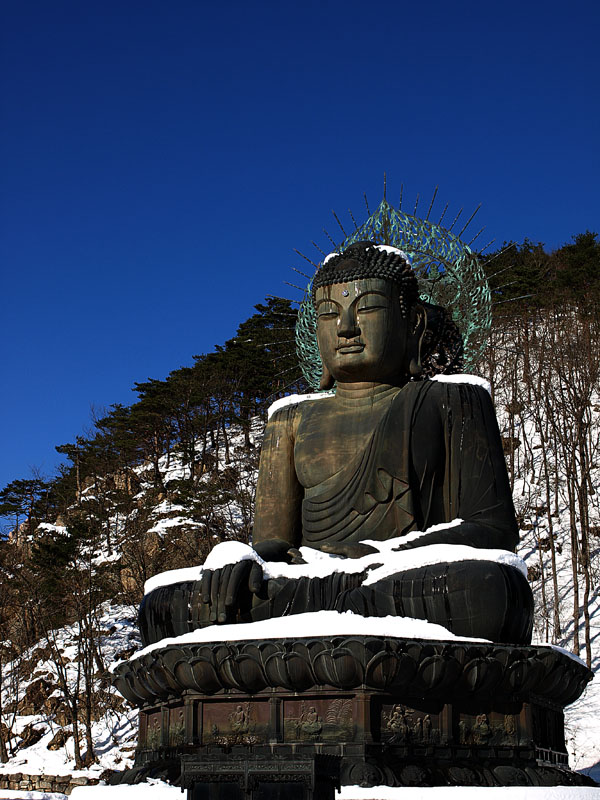 g0052.jpg - OLYMPUS DIGITAL CAMERA