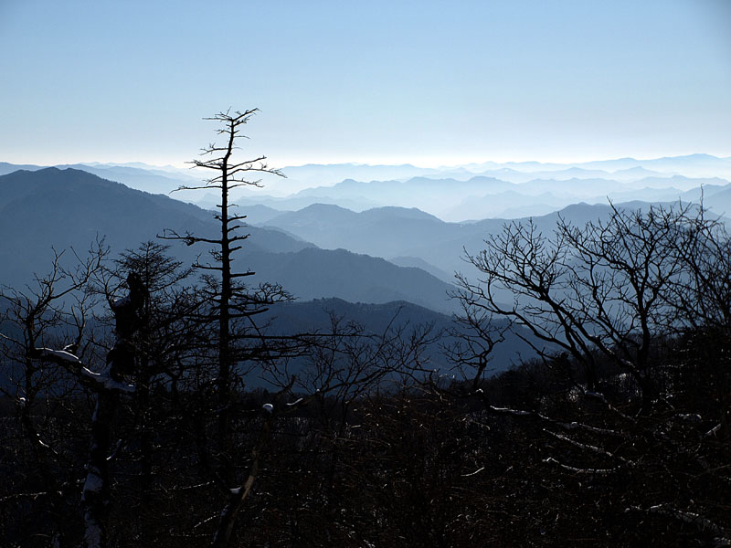 g0057.jpg - OLYMPUS DIGITAL CAMERA