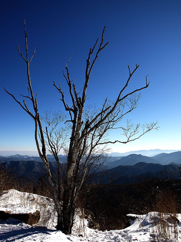 g0058.jpg - OLYMPUS DIGITAL CAMERA