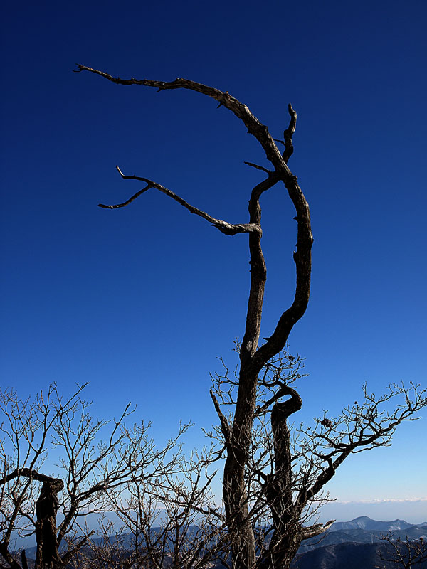 g0059.jpg - OLYMPUS DIGITAL CAMERA